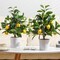 2-Pack Artificial Lemon Trees – 15.7-Inch Faux Potted Citrus Plants with White Pots, Lifelike Indoor Décor for Home, Kitchen, Office, Living Room, or Tabletop Display